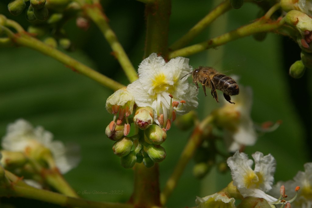 Für Myriades Impulswerkstatt
