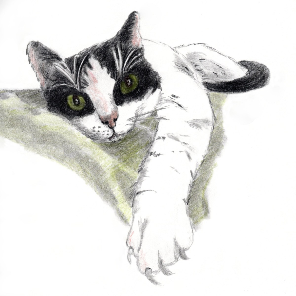  Bleistift-/Buntstiftzeichnung. Katze – Ines Udelnow Illustration 