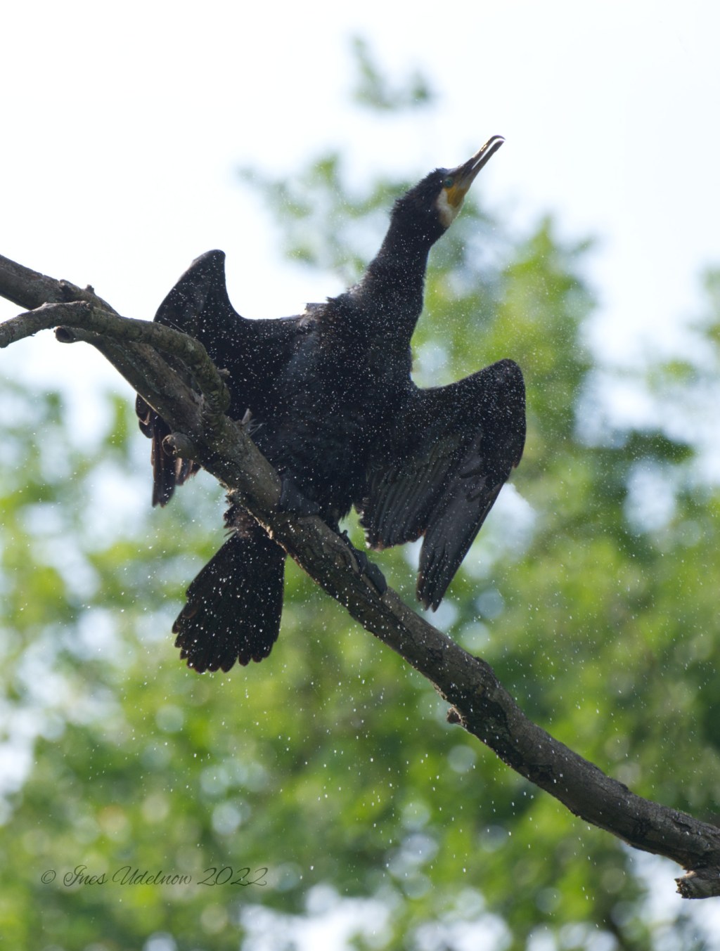 Gutes Schütteln ist die halbe&nbsp;Miete