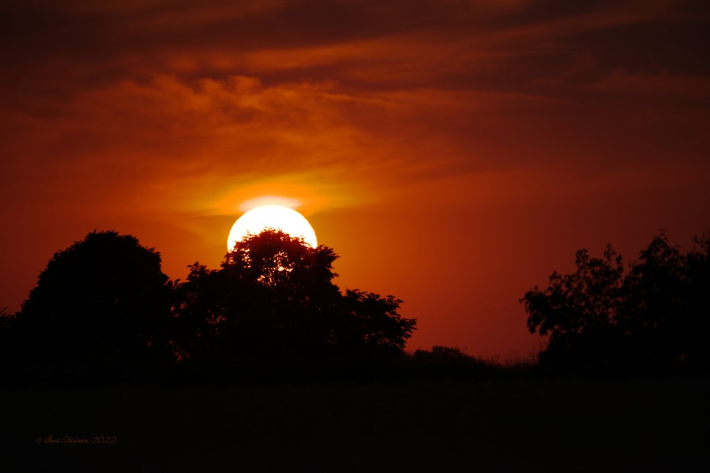 Wenn sich die Sonne&nbsp;niederlegt