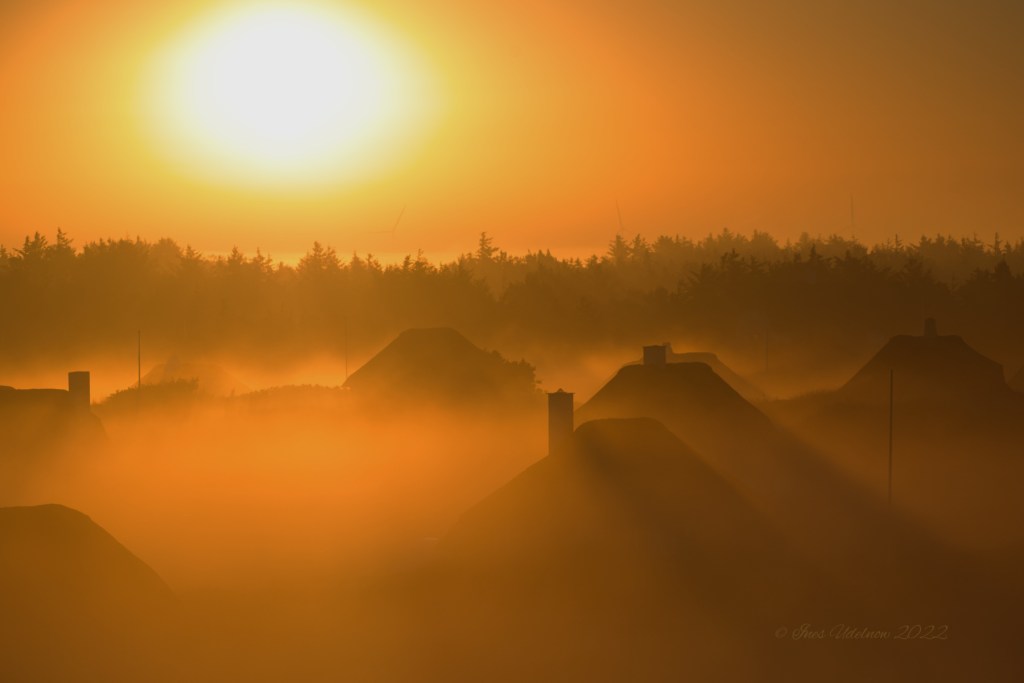 Sonnenaufgang über Vedersø Klit&nbsp;(2)