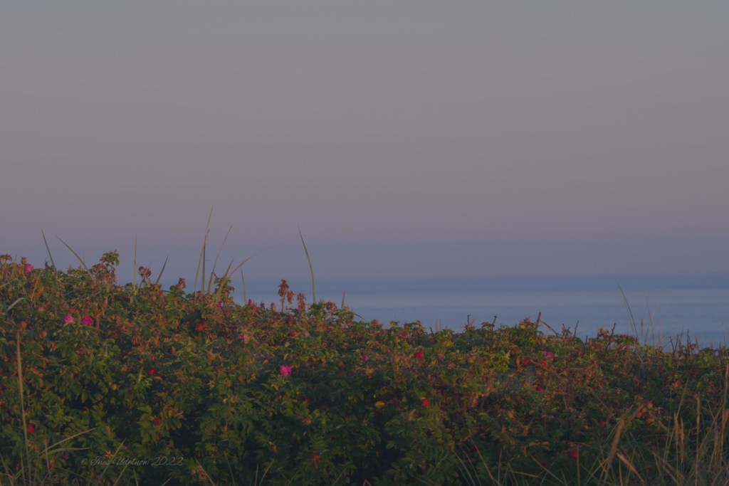 Zu früher Morgenstunde