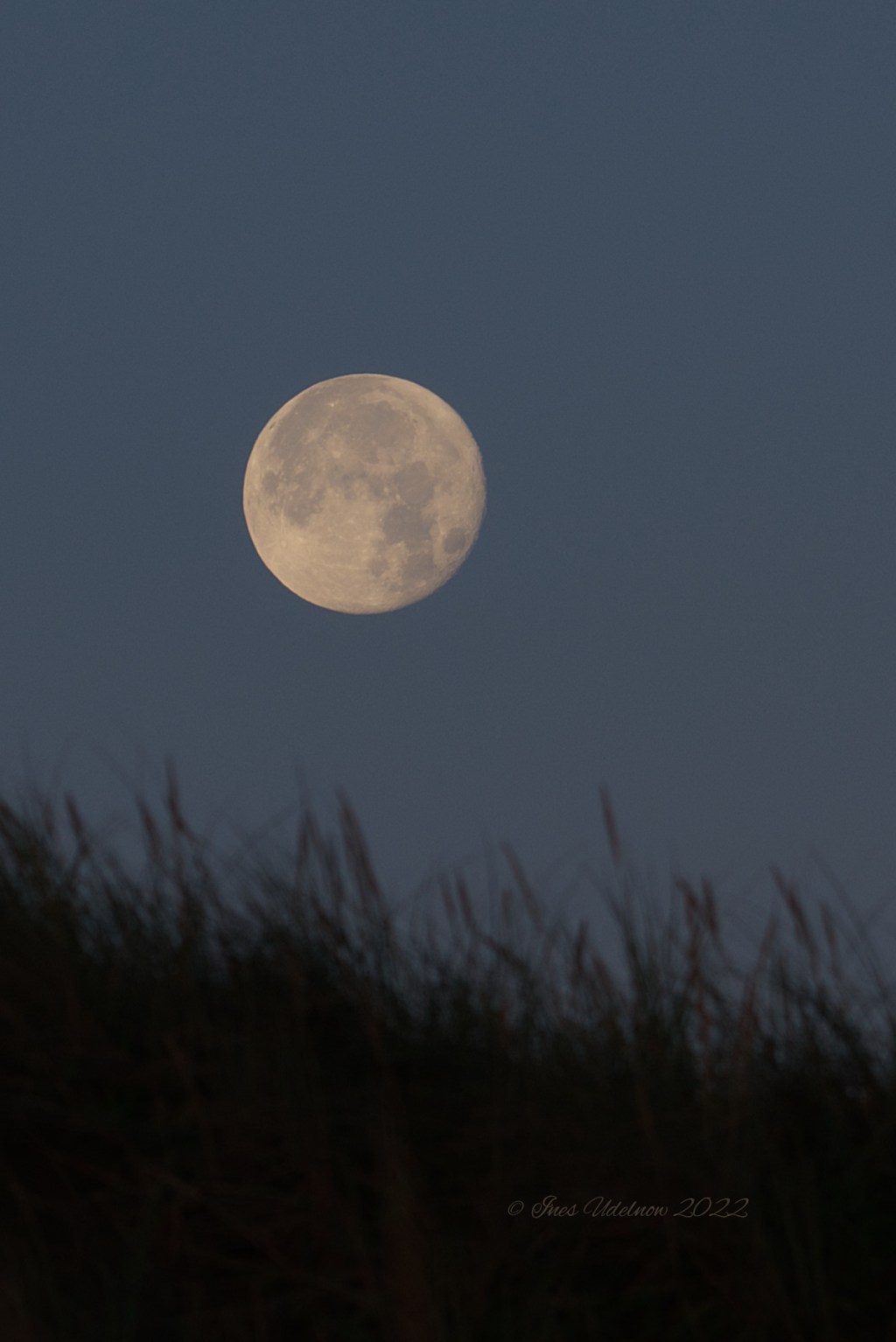 Der Mond über den&nbsp;Dünen