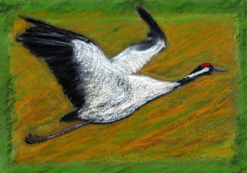 Und dennoch fliegen sie