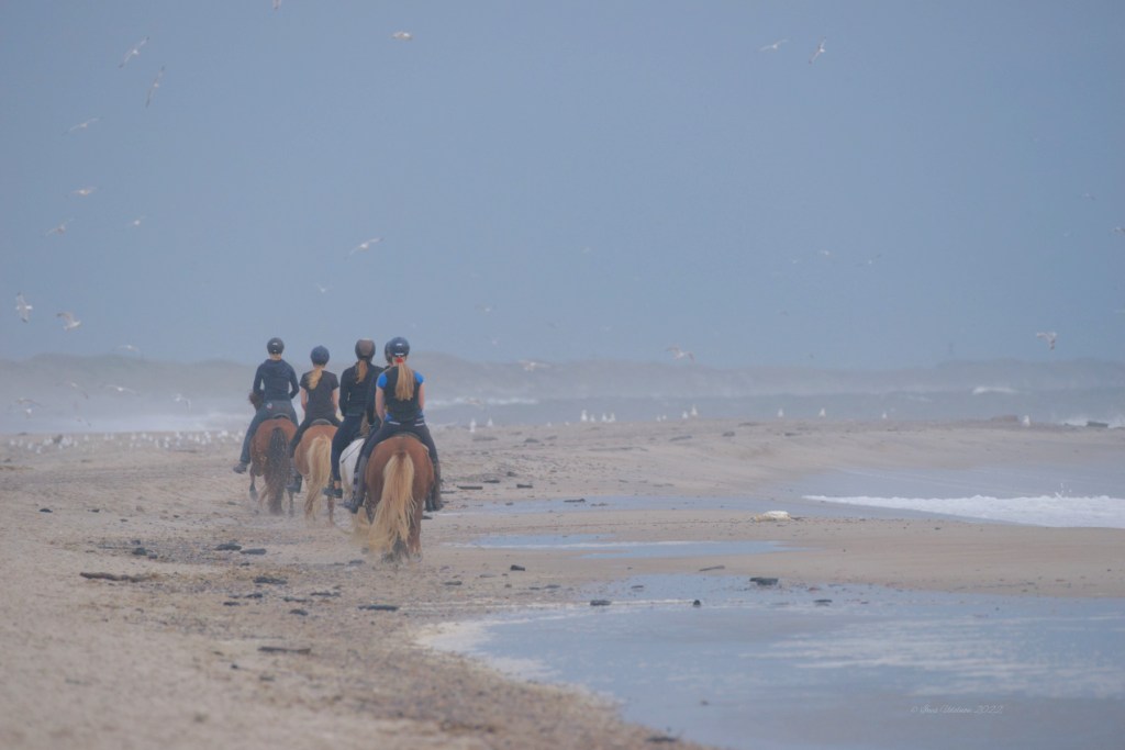 Nur ein Augenblick. Am Meer.