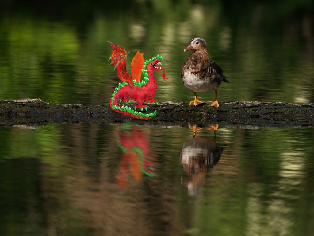 Herbstzeit ist Drachenzeit