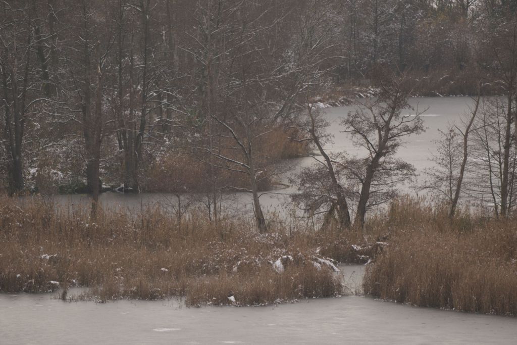 Winterwunderland Köppchensee