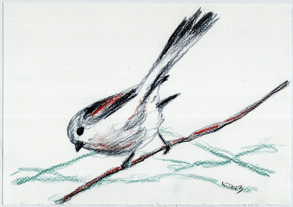 Ein fliegendes Wollknäuel