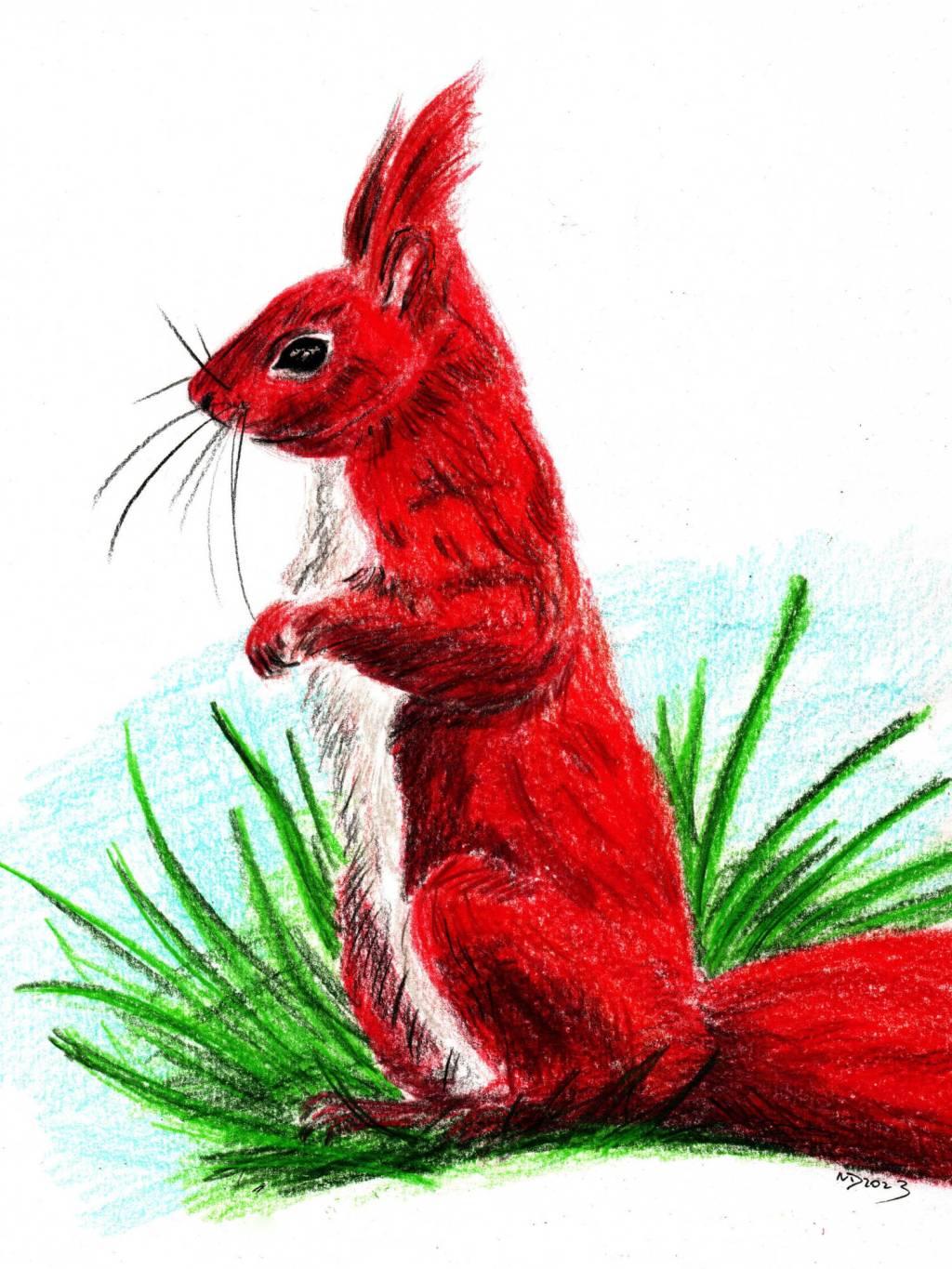 Buntstiftzeichnung. Eichhörnchen