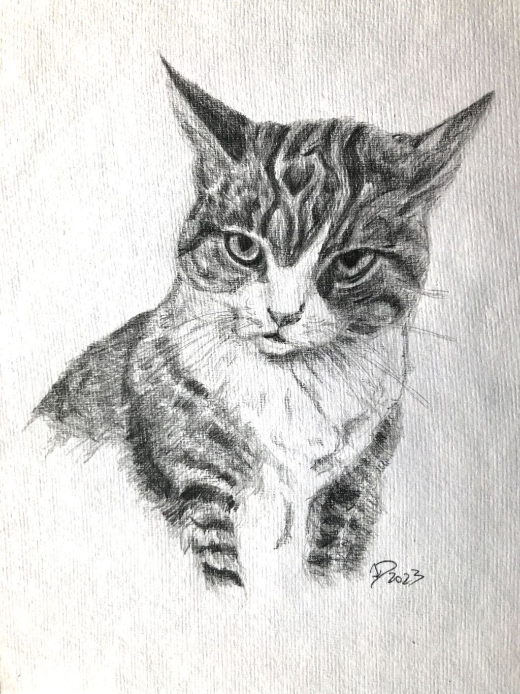 Bleistiftzeichnung. Berta