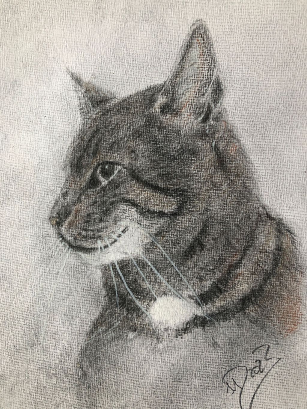 Bleistiftzeichnung. Gonzo