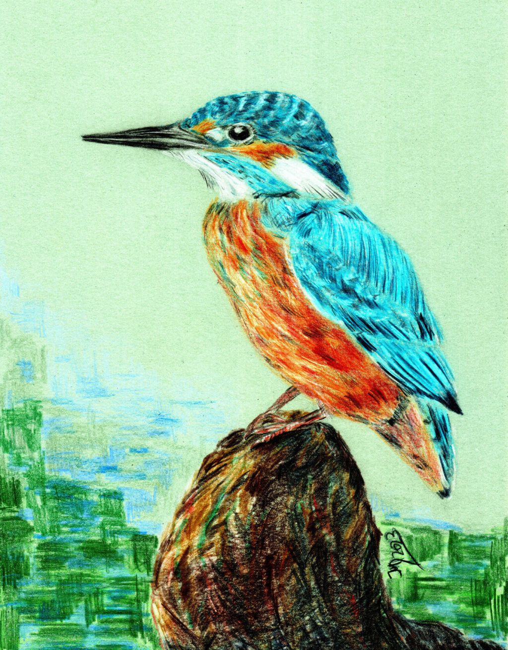 Buntstiftzeichnung. Eisvogel