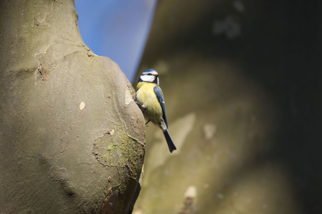 Am Busen der&nbsp;Natur