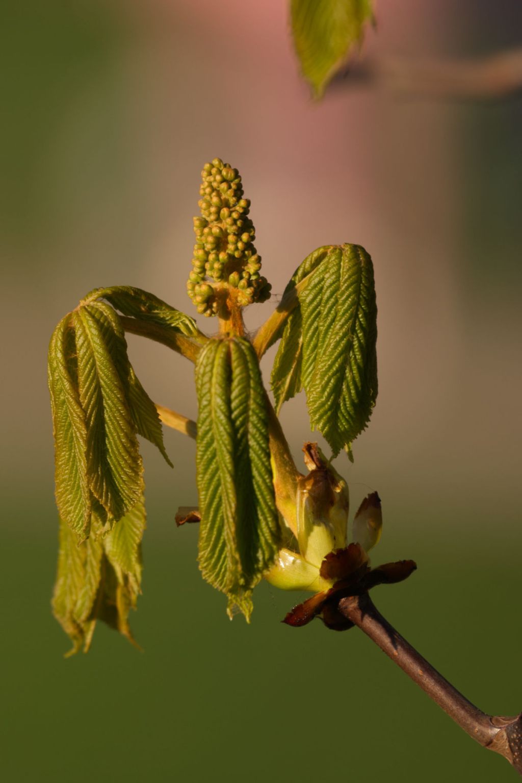 Mindestens einmal im Jahr&nbsp;…