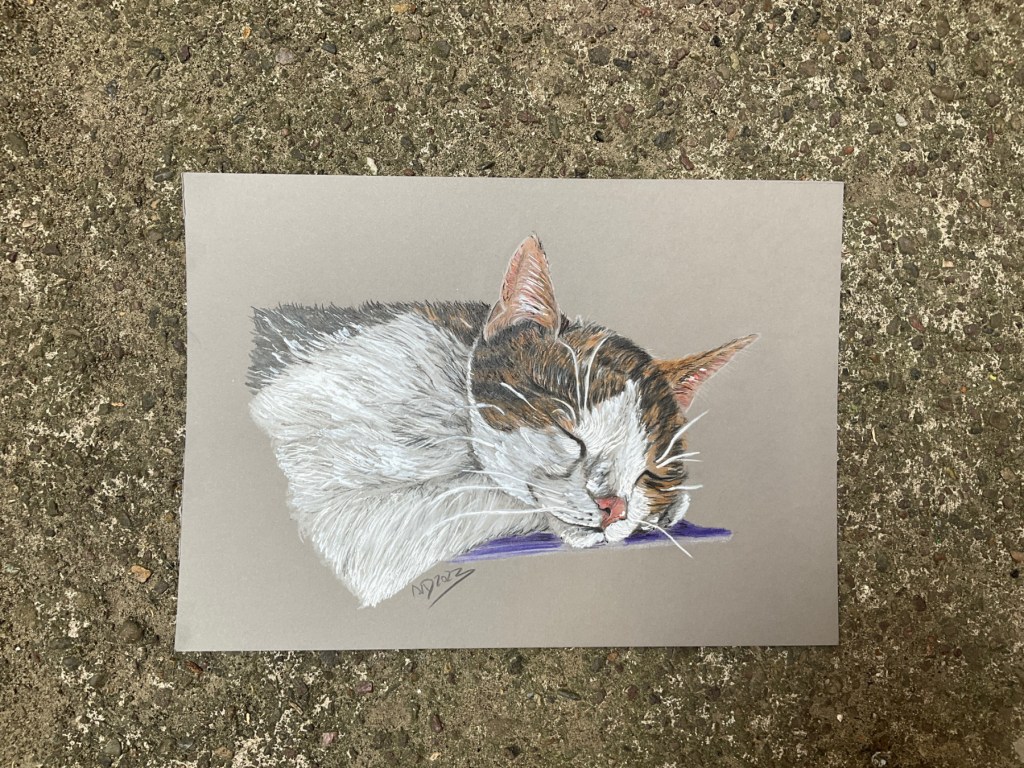 Sonntagskatze. Abhängen