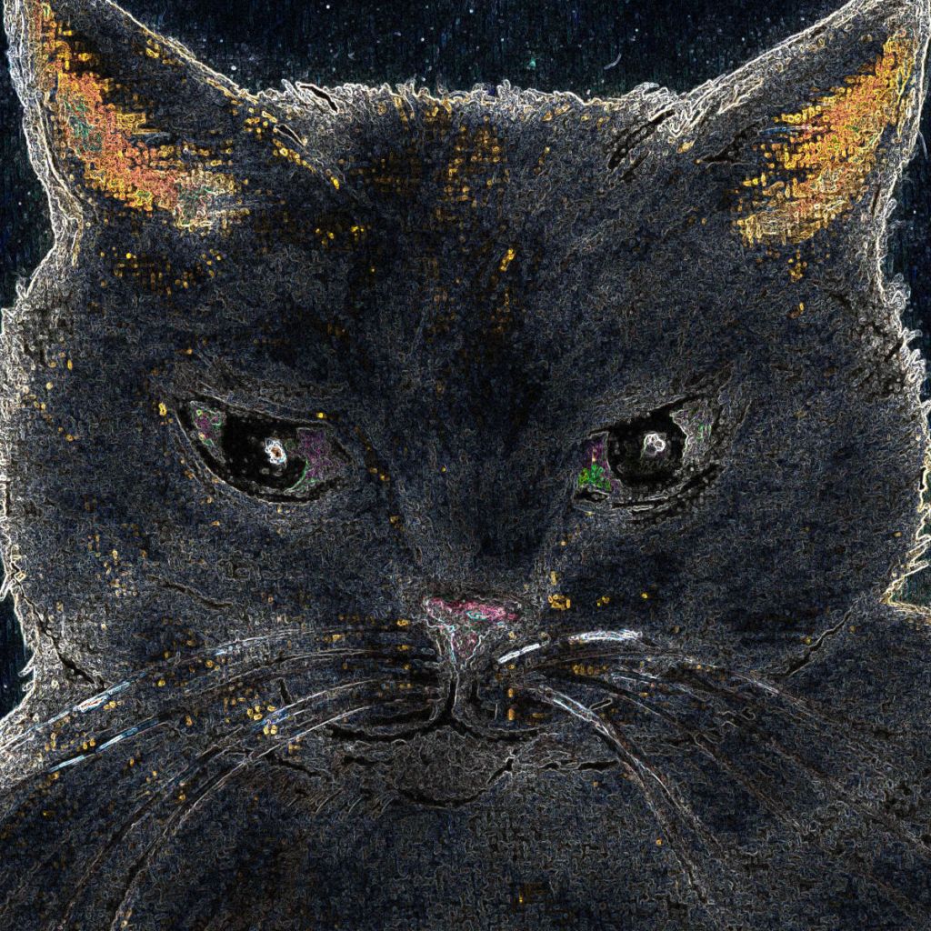 Sonntagskatze. digital