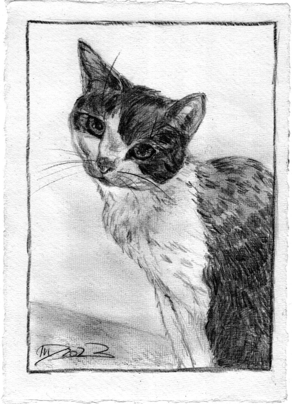 Sonntagskatze. Bleistiftkatze