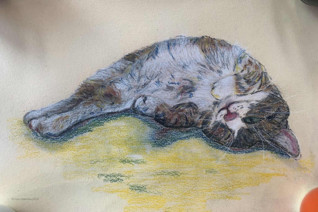 Sonntagskatze. Berta im&nbsp;Glück