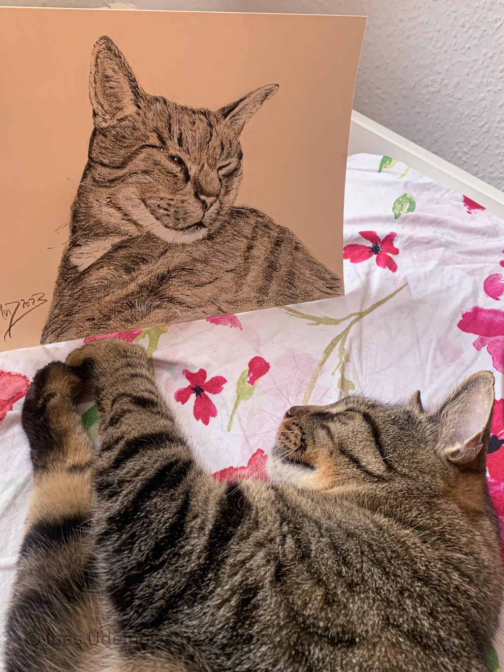 Sonntagskatze. Der doppelte&nbsp;Kater