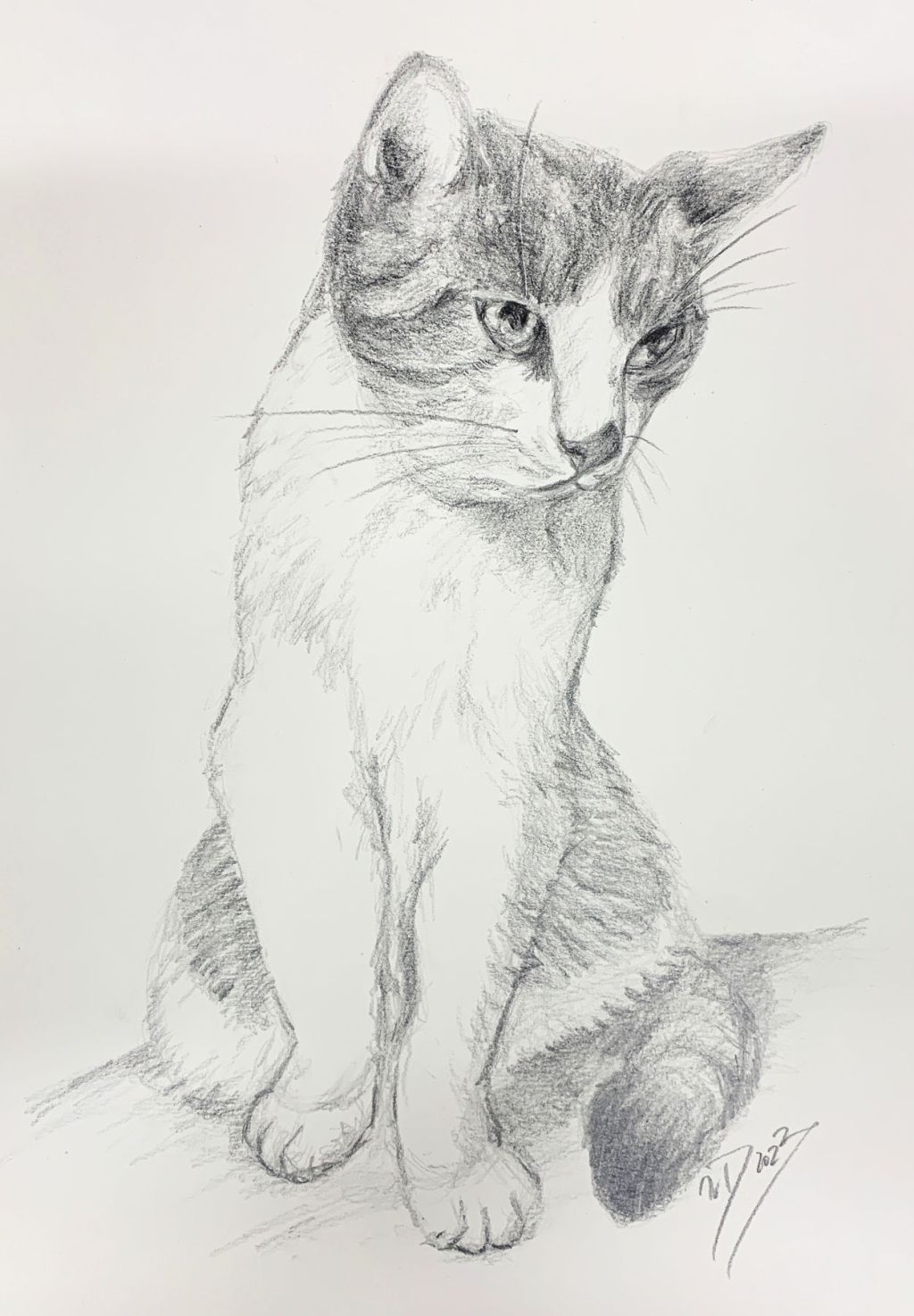 Sonntagskatze. Bleistiftskizze Lina
