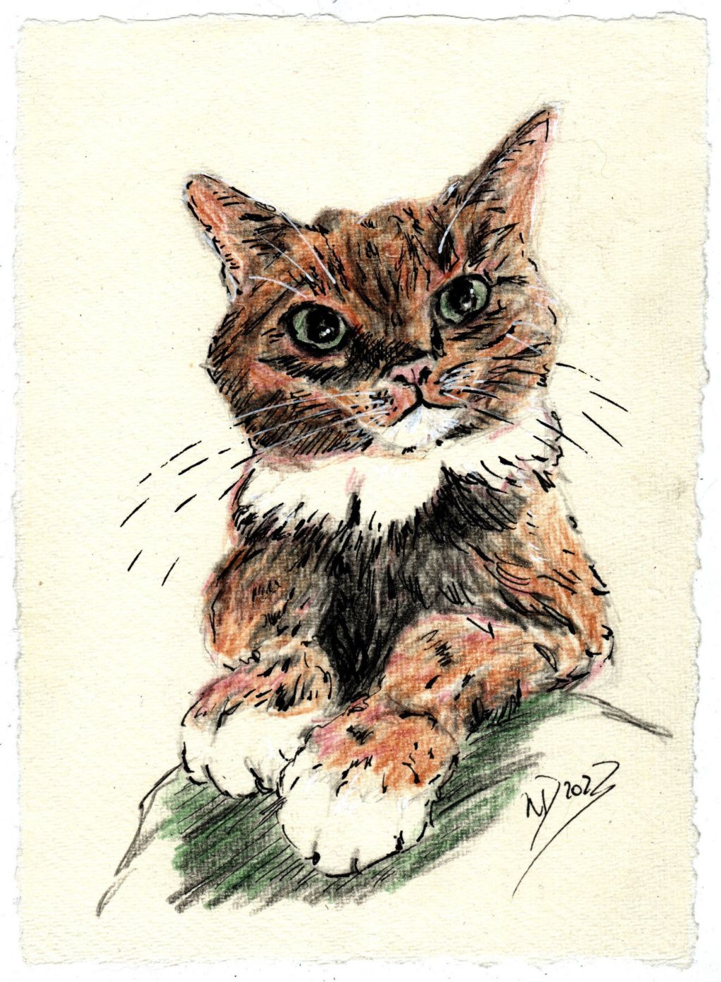 Sonntagskatze. Lotti in&nbsp;Farbe