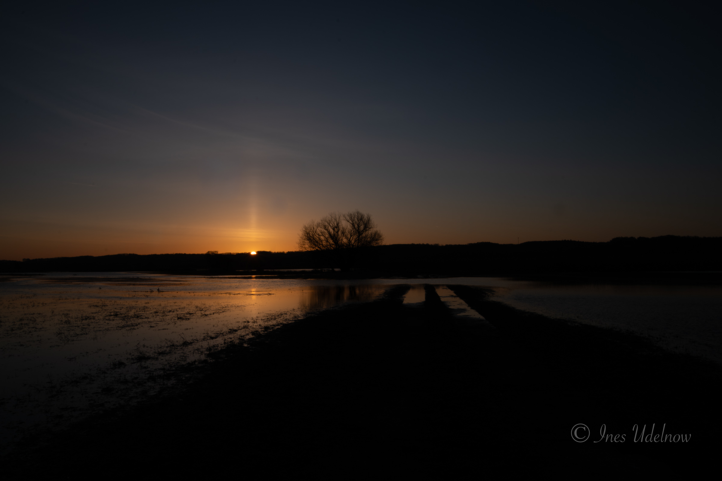 Sonnenaufgang über Nationalpark Unteres Odertal, März 2026