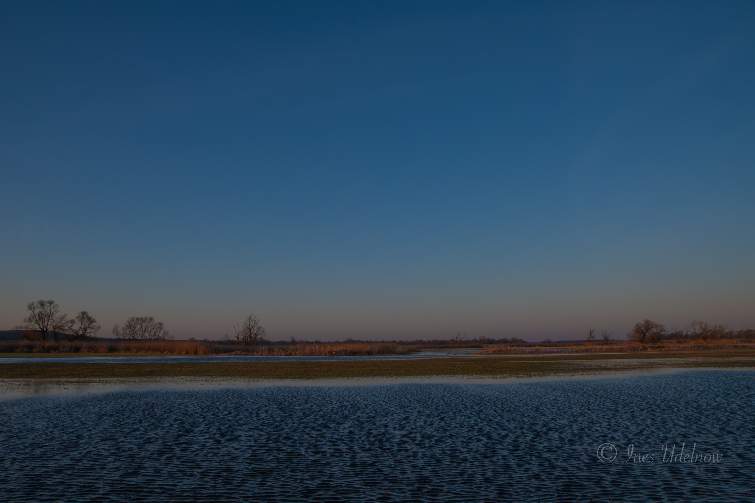Nach dem Sonnenaufgang. Morgenlicht über dem Nationalpark Unteres Odertal, März 2026