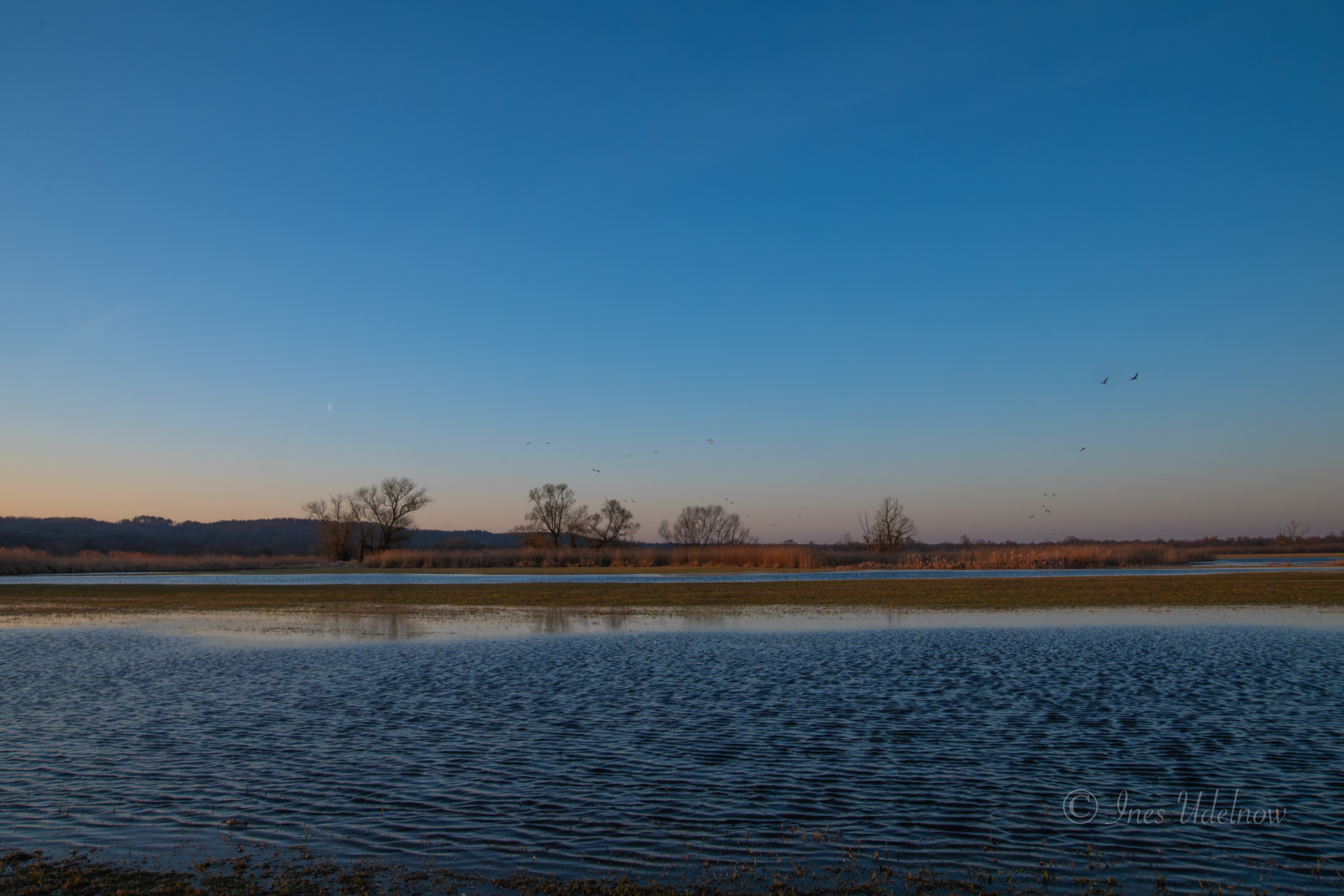 Nach dem Sonnenaufgang. Morgenlicht über dem Nationalpark Unteres Odertal, März 2026